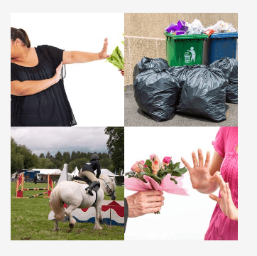 4 bilder 1 wort Level 2906