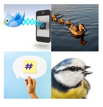 4 bilder 1 wort Level 2918