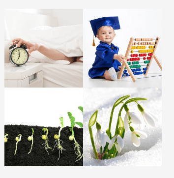 4 bilder 1 wort Level 2946