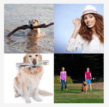 4 bilder 1 wort Level 2948