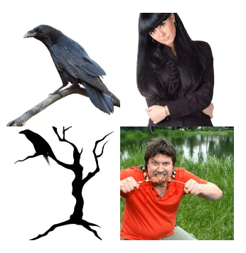 4 bilder 1 wort Level 2983