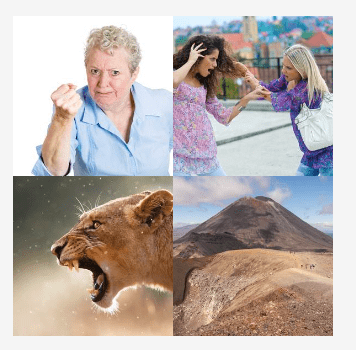 4 bilder 1 wort Level 3000