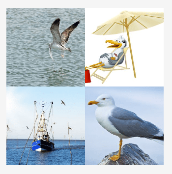 4 bilder 1 wort Level 3298