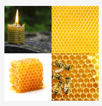 4 bilder 1 wort Level 3359