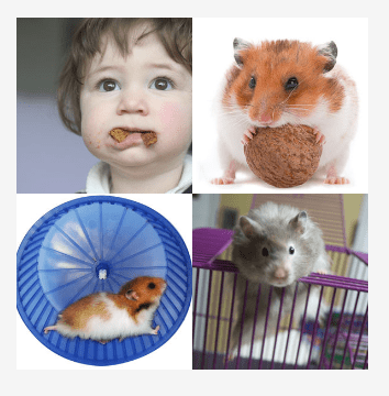 4 bilder 1 wort Level 3398