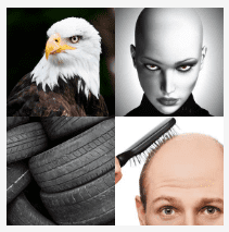 4 bilder 1 wort Level 1081