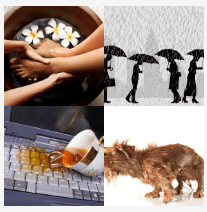 4 bilder 1 wort Level 1142