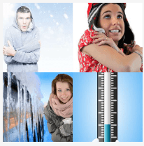4 bilder 1 wort Level 1232