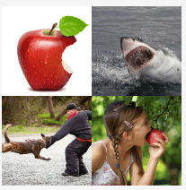 4 bilder 1 wort Level 1234