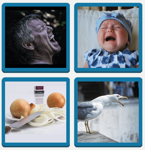 4 bilder 1 wort Level 13