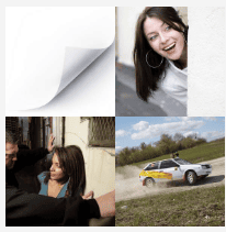 4 bilder 1 wort Level 1420