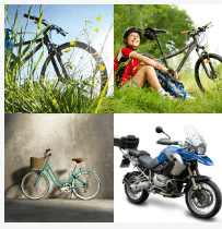 4 bilder 1 wort Level 1498