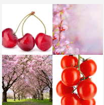 4 bilder 1 wort Level 1539