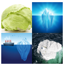 4 bilder 1 wort Level 1557