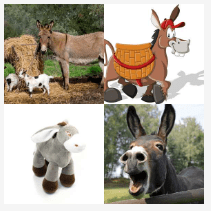 4 bilder 1 wort Level 1571