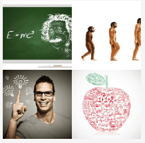 4 bilder 1 wort Level 1597