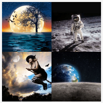 4 bilder 1 wort Level 1675