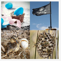 4 bilder 1 wort Level 1679