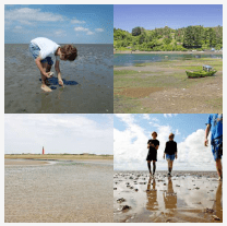 4 bilder 1 wort Level 1686