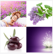 4 bilder 1 wort Level 1835