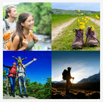 4 bilder 1 wort Level 2012