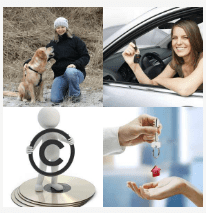 4 bilder 1 wort Level 2052