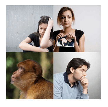 4 bilder 1 wort Level 206