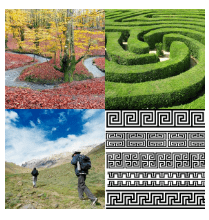 4 bilder 1 wort Level 2199