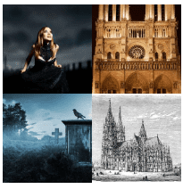 4 bilder 1 wort Level 2215