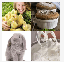 4 bilder 1 wort Level 2263