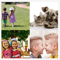 4 bilder 1 wort Level 2424