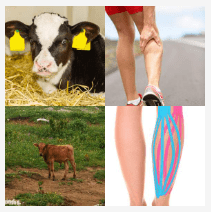 4 bilder 1 wort Level 2425
