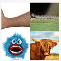 4 bilder 1 wort Level 2434