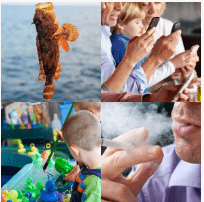 4 bilder 1 wort Level 2480