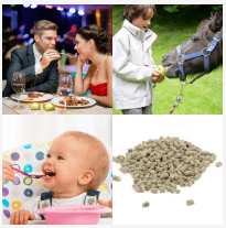 4 bilder 1 wort Level 2497