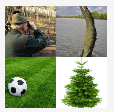 4 bilder 1 wort Level 261