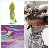 4 bilder 1 wort Level 2664