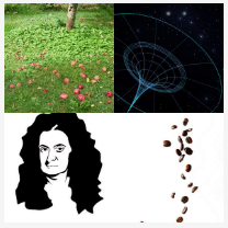 4 bilder 1 wort Level 2717
