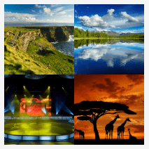 4 bilder 1 wort Level 2719