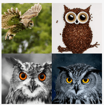 4 bilder 1 wort Level 2735