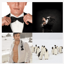 4 bilder 1 wort Level 2770