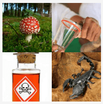 4 bilder 1 wort Level 284