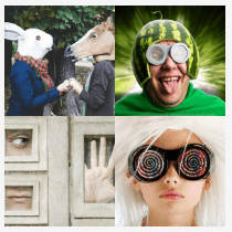 4 bilder 1 wort Level 2873
