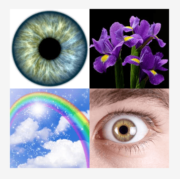 4 bilder 1 wort Level 3005