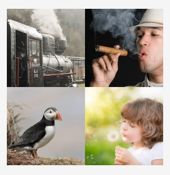 4 bilder 1 wort Level 3060