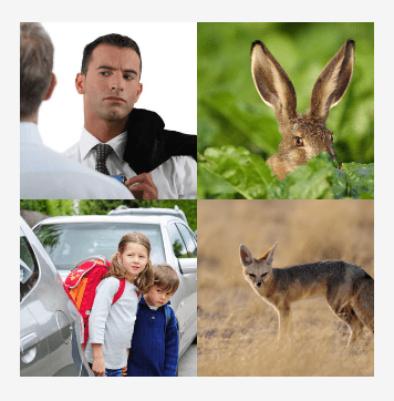 4 bilder 1 wort Level 3117