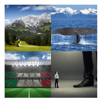 4 bilder 1 wort Level 3126