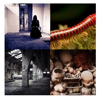 4 bilder 1 wort Level 3163