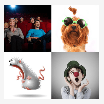 4 bilder 1 wort Level 3216