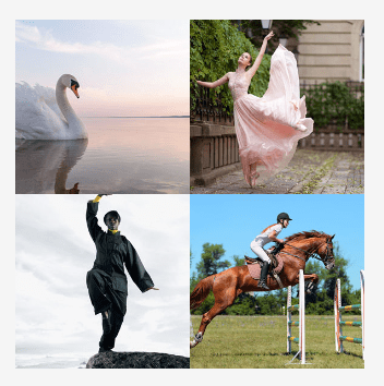 4 bilder 1 wort Level 3217